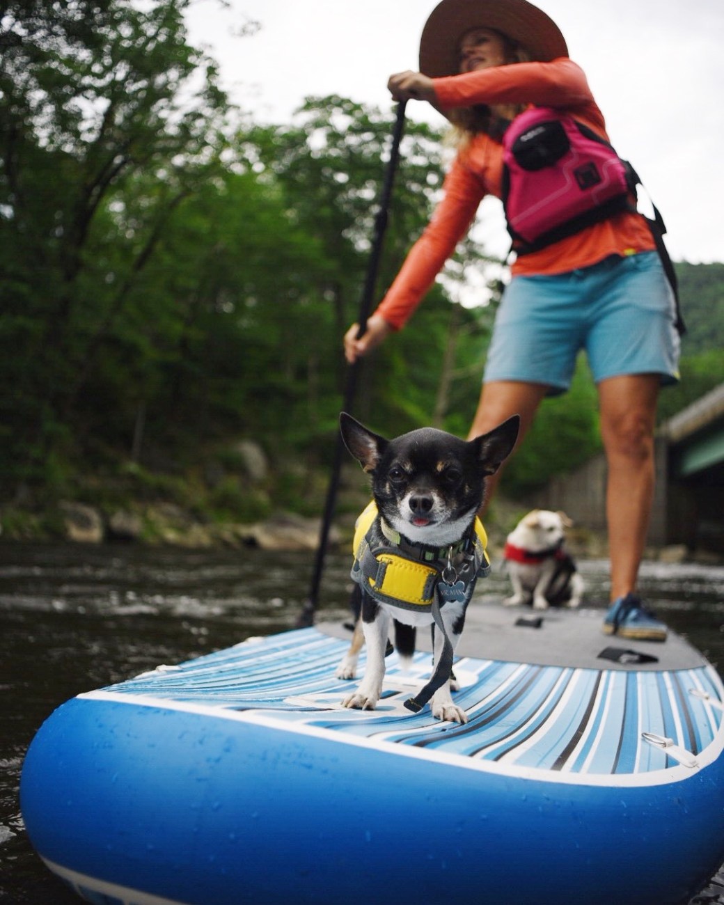 Processed with VSCO with q5 preset